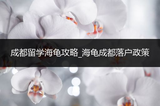 成都留学海龟攻略_海龟成都落户政策