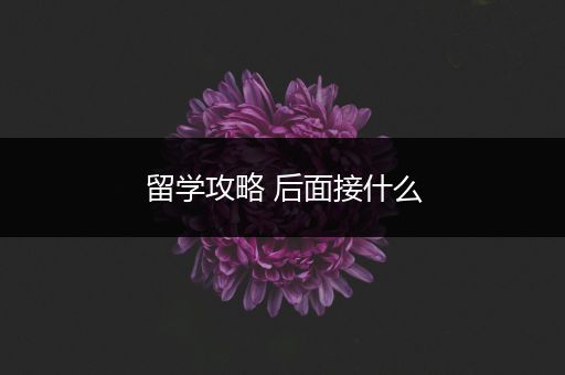 留学攻略 后面接什么