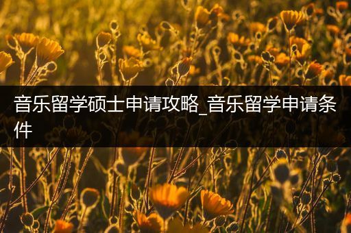 音乐留学硕士申请攻略_音乐留学申请条件