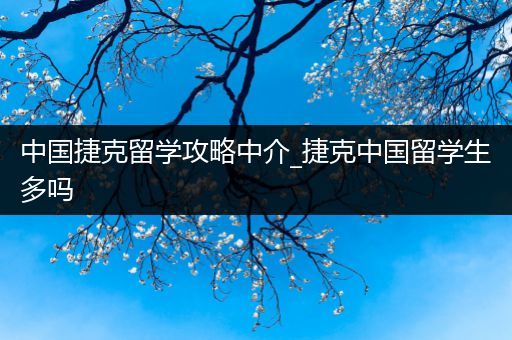 中国捷克留学攻略中介_捷克中国留学生多吗