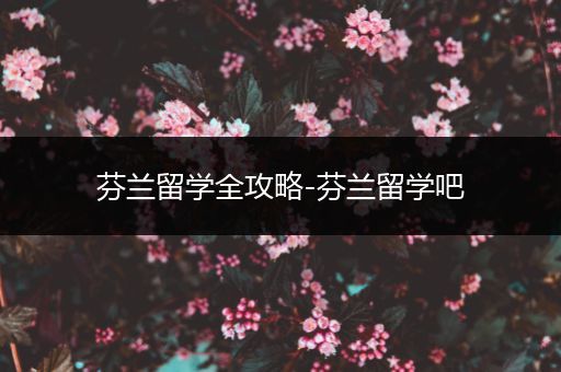 芬兰留学全攻略-芬兰留学吧