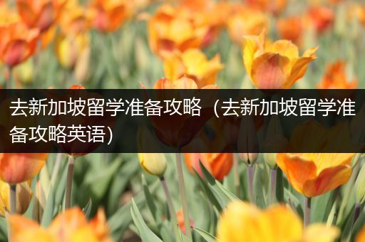 去新加坡留学准备攻略（去新加坡留学准备攻略英语）