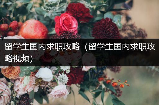 留学生国内求职攻略（留学生国内求职攻略视频）