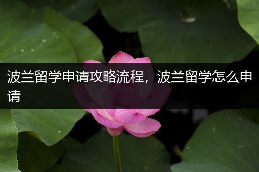 波兰留学申请攻略流程，波兰留学怎么申请