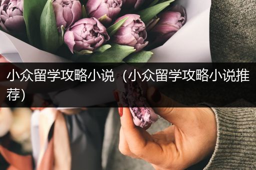 小众留学攻略小说（小众留学攻略小说推荐）