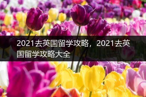 2021去英国留学攻略，2021去英国留学攻略大全