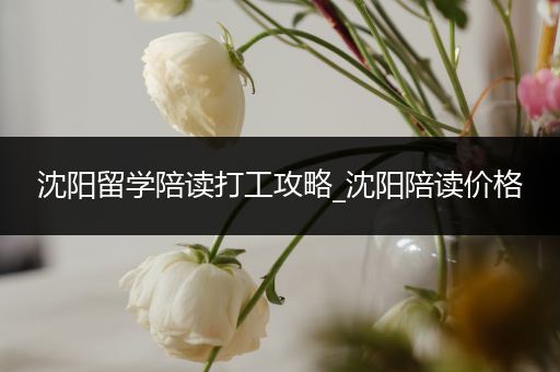 沈阳留学陪读打工攻略_沈阳陪读价格