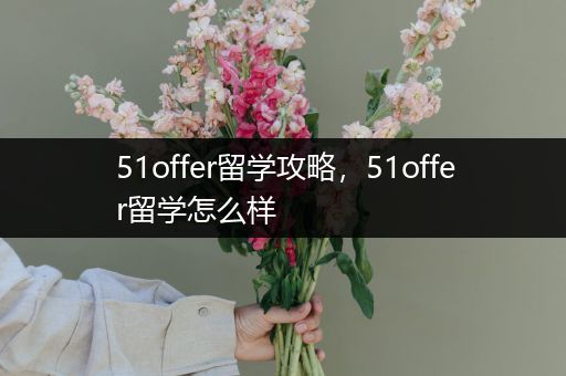 51offer留学攻略，51offer留学怎么样