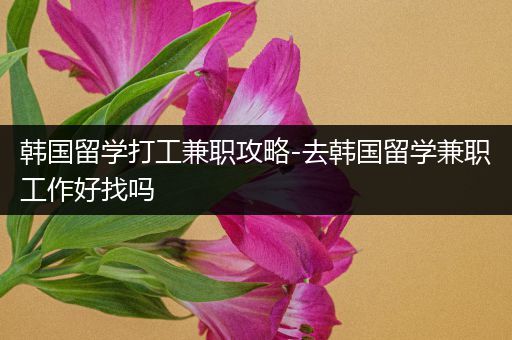 韩国留学打工兼职攻略-去韩国留学兼职工作好找吗