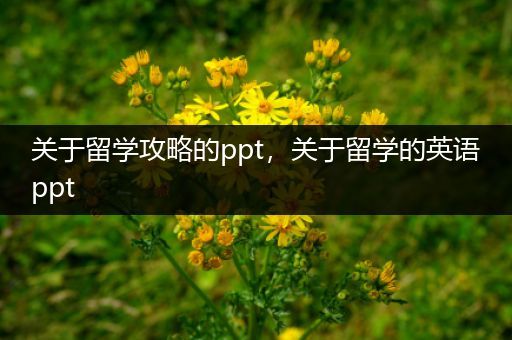 关于留学攻略的ppt，关于留学的英语ppt