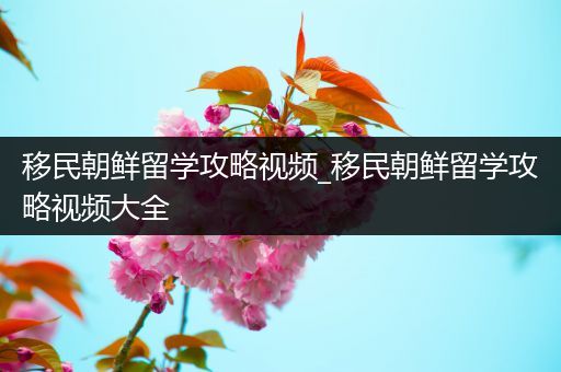 移民朝鲜留学攻略视频_移民朝鲜留学攻略视频大全