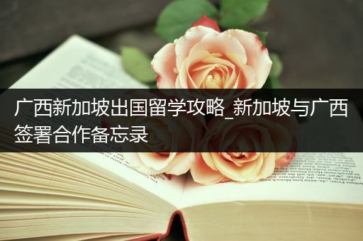 广西新加坡出国留学攻略_新加坡与广西签署合作备忘录