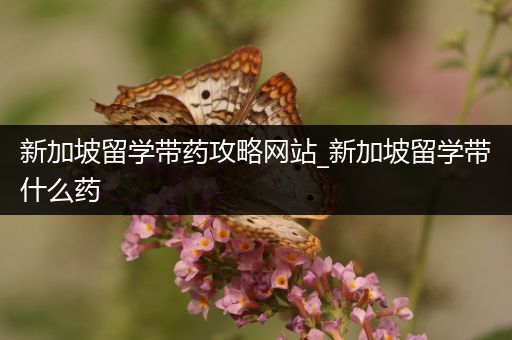 新加坡留学带药攻略网站_新加坡留学带什么药