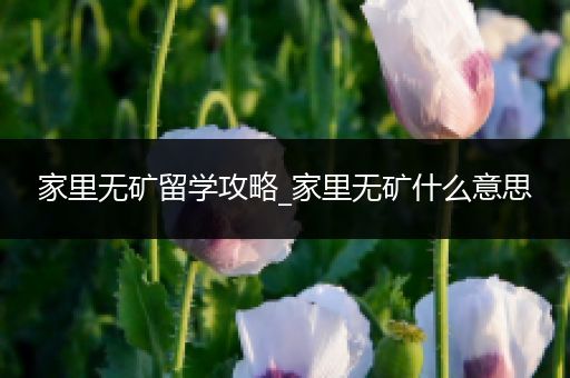 家里无矿留学攻略_家里无矿什么意思