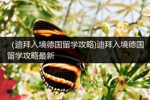 （迪拜入境德国留学攻略)迪拜入境德国留学攻略最新