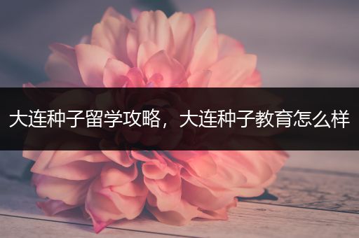 大连种子留学攻略，大连种子教育怎么样