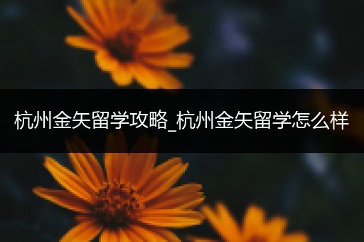 杭州金矢留学攻略_杭州金矢留学怎么样