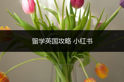 留学英国攻略 小红书