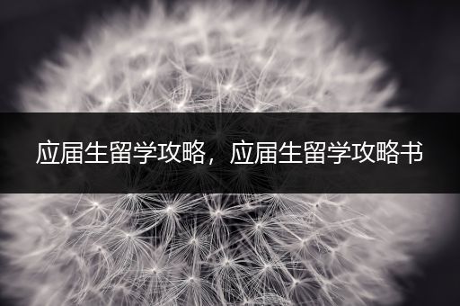 应届生留学攻略，应届生留学攻略书