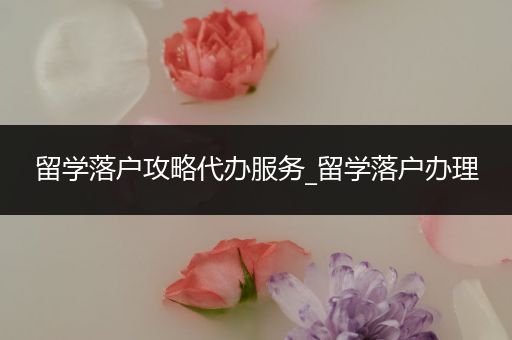 留学落户攻略代办服务_留学落户办理