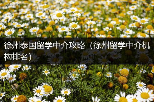 徐州泰国留学中介攻略（徐州留学中介机构排名）