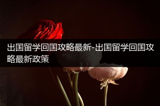 出国留学回国攻略最新-出国留学回国攻略最新政策