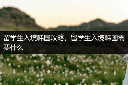 留学生入境韩国攻略，留学生入境韩国需要什么