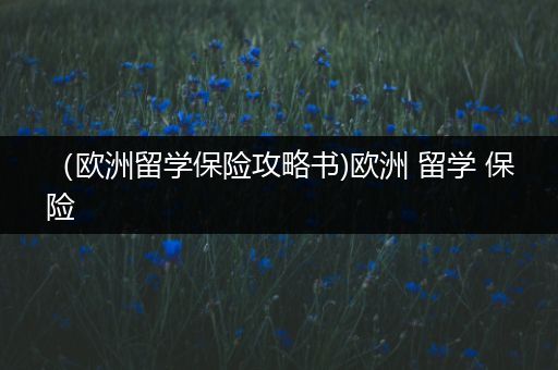 （欧洲留学保险攻略书)欧洲 留学 保险