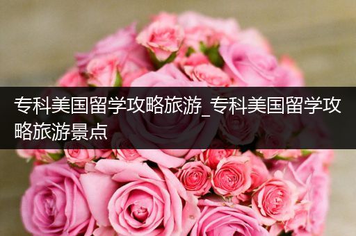 专科美国留学攻略旅游_专科美国留学攻略旅游景点
