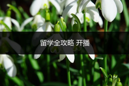 留学全攻略 开播