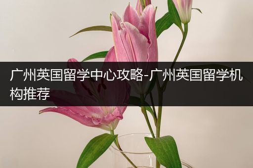 广州英国留学中心攻略-广州英国留学机构推荐