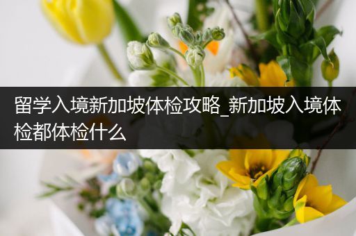 留学入境新加坡体检攻略_新加坡入境体检都体检什么