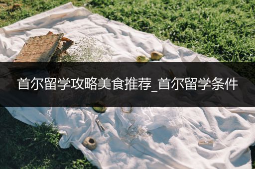 首尔留学攻略美食推荐_首尔留学条件