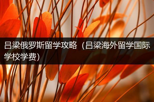 吕梁俄罗斯留学攻略（吕梁海外留学国际学校学费）