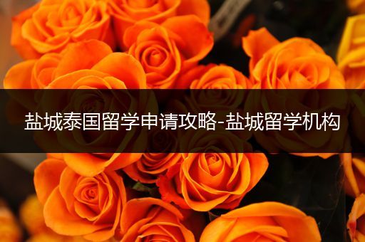 盐城泰国留学申请攻略-盐城留学机构