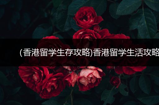 （香港留学生存攻略)香港留学生活攻略