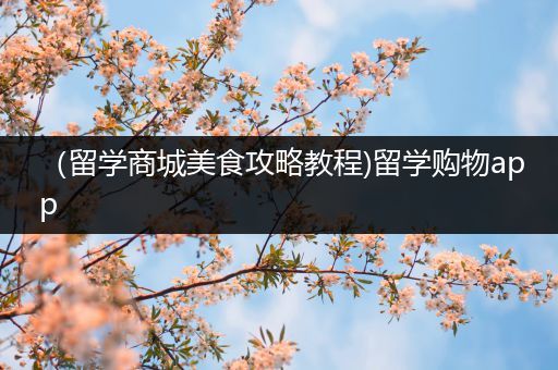 （留学商城美食攻略教程)留学购物app