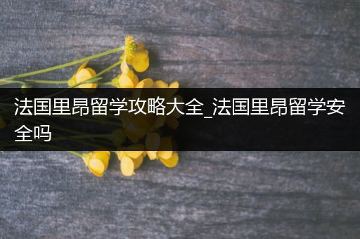 法国里昂留学攻略大全_法国里昂留学安全吗