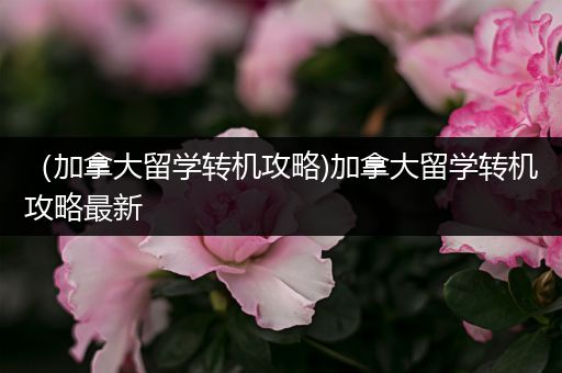 （加拿大留学转机攻略)加拿大留学转机攻略最新