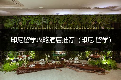 印尼留学攻略酒店推荐（印尼 留学）