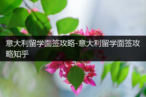 意大利留学面签攻略-意大利留学面签攻略知乎