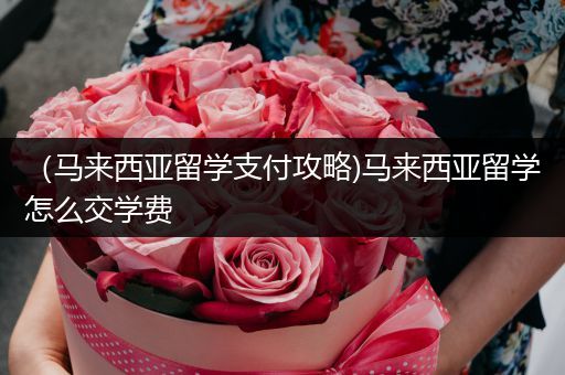 （马来西亚留学支付攻略)马来西亚留学怎么交学费