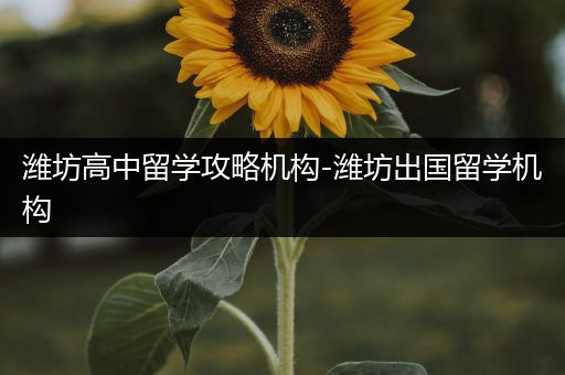 潍坊高中留学攻略机构-潍坊出国留学机构