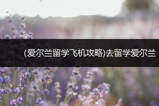 （爱尔兰留学飞机攻略)去留学爱尔兰