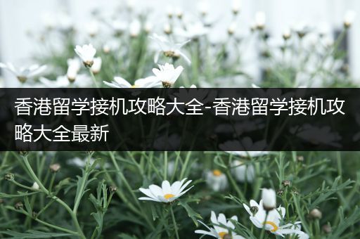 香港留学接机攻略大全-香港留学接机攻略大全最新