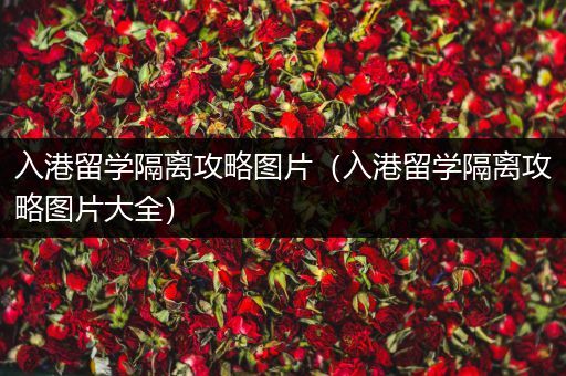 入港留学隔离攻略图片（入港留学隔离攻略图片大全）