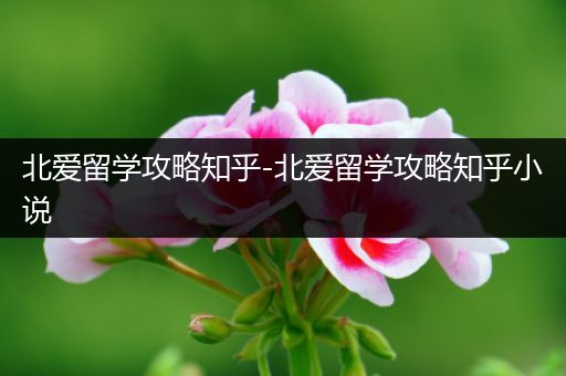 北爱留学攻略知乎-北爱留学攻略知乎小说