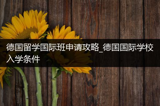 德国留学国际班申请攻略_德国国际学校入学条件