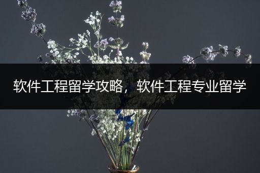 软件工程留学攻略，软件工程专业留学