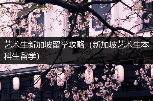 艺术生新加坡留学攻略（新加坡艺术生本科生留学）